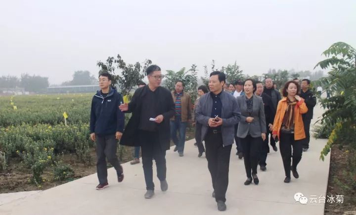 云臺冰菊基地發(fā)生了什么？一批批領(lǐng)導(dǎo)專家團(tuán)隊(duì)前來！