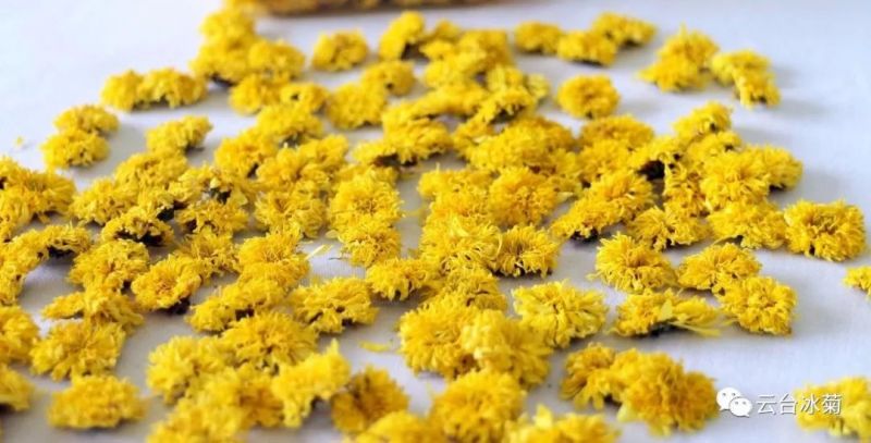 2018，種下希望，靜待花開！